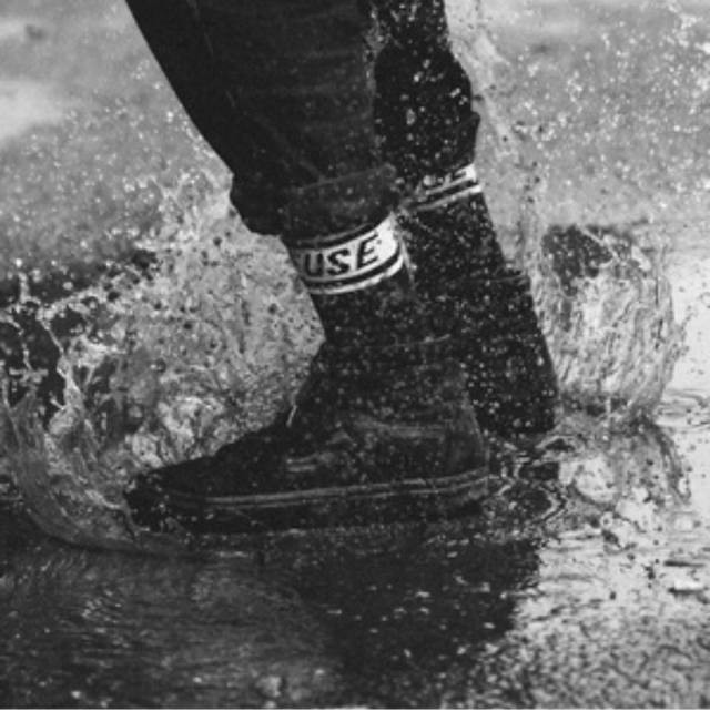 Short Fuse N&B